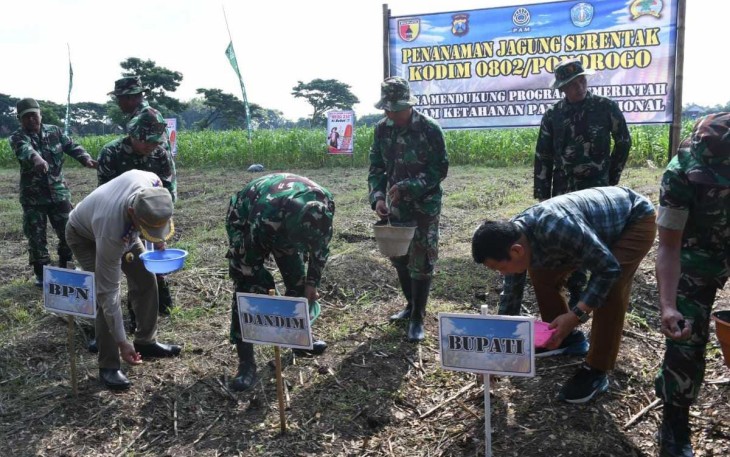 Kodim 0802/Ponorogo Lakukan Penanaman Jagung Serentak