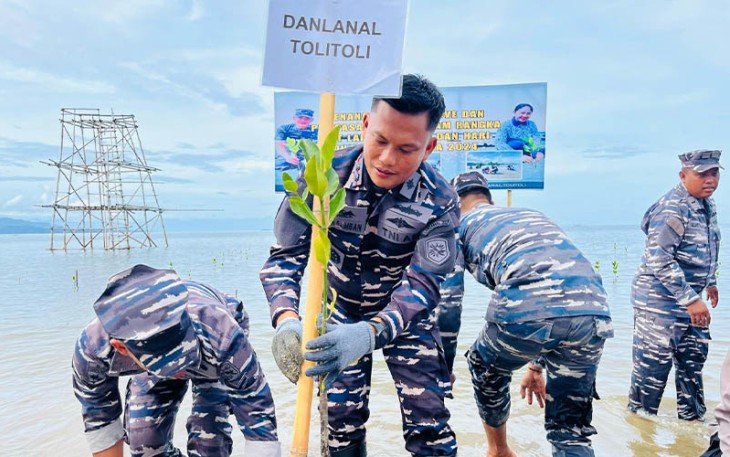 Komandan Lanal Tolitoli Letkol Laut (P) Alpirut Yani Musa Samban, S.E., M.Tr.Opsla saat turut tanam Mangrove