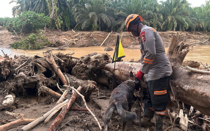 Den K9 Ditpolsatwa Baharkam Polri Berhasil Temukan Satu Korban Bencana Alam di Batang Toru
