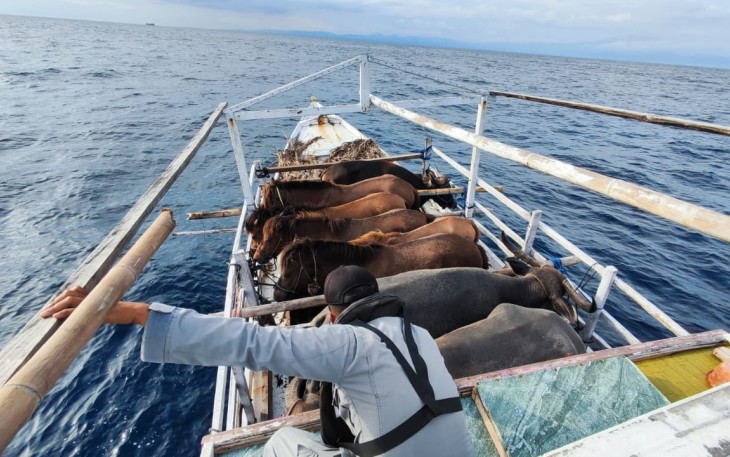 KN Ular Laut-405 Bakamla RI Selamatkan Kapal Terombang Ambing di Laut Flores