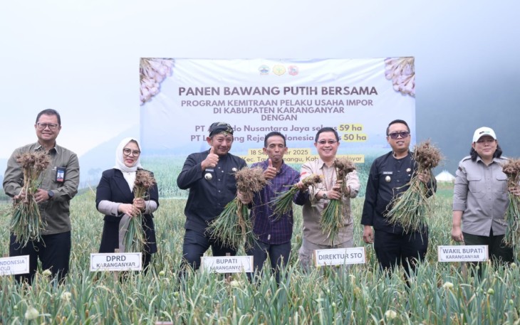 Panen bawang putih bersama dalam program kemitraan pelaku usaha impor, di lahan pertanian Dusun Pancot, Kecamatan Tawangmangu, Karanganyar, pada Kamis (18/9/2025)