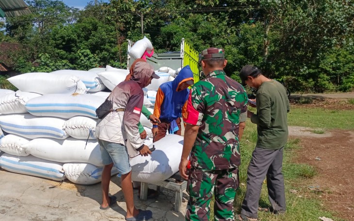 Babinsa Posramil Gerih dan Bulog saat Angkut 12 Ton Gabah Petani di Widodaren