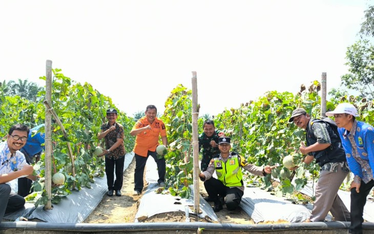 Bhabinkamtibmas Polsek Belitang III saat Cek Tanaman Melon Milik Masyarakat