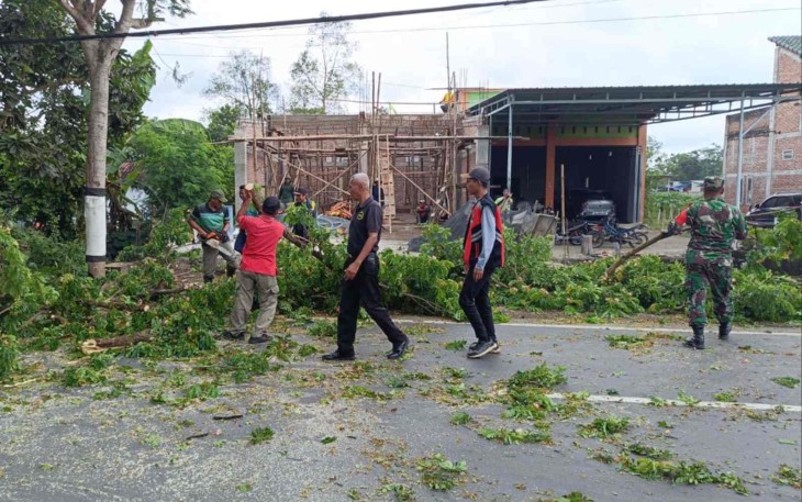 Tebang pohon di wilayah desa binaan 