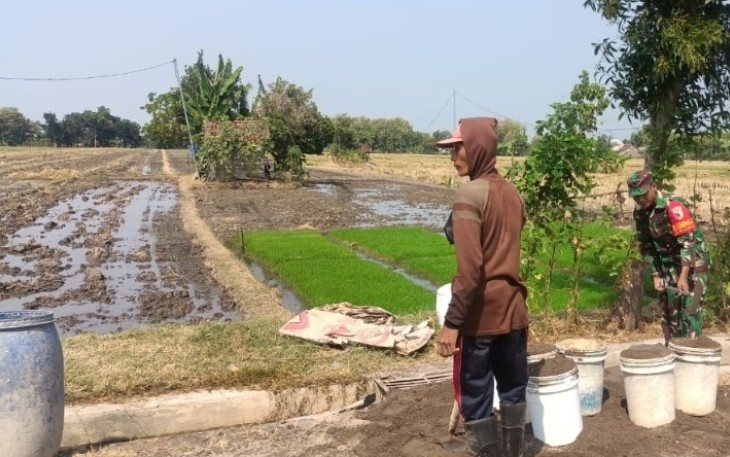 Bantu petani wilayah desa binaan 