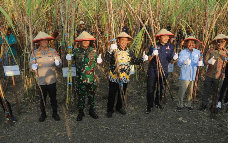 Area Tebu PT PG Rajawali I