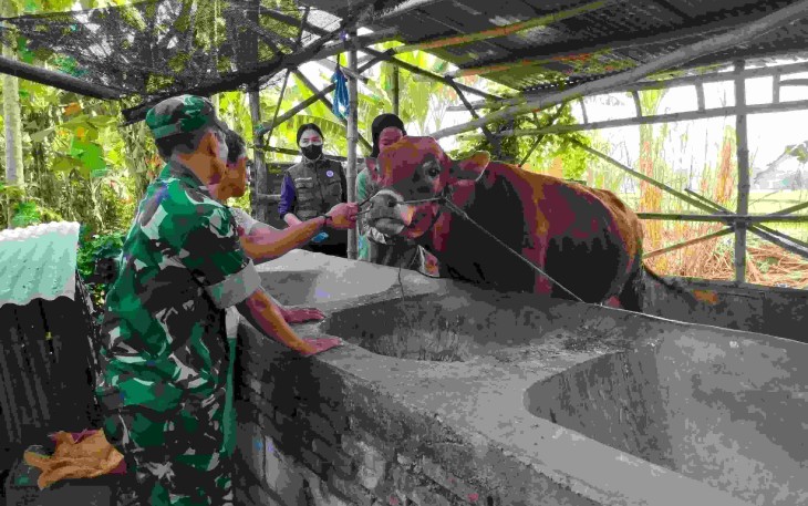 Vaksinasi PMK hewan ternak warga desa binaan 