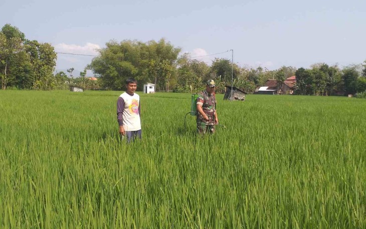 Pendampingan petani wilayah desa binaan 