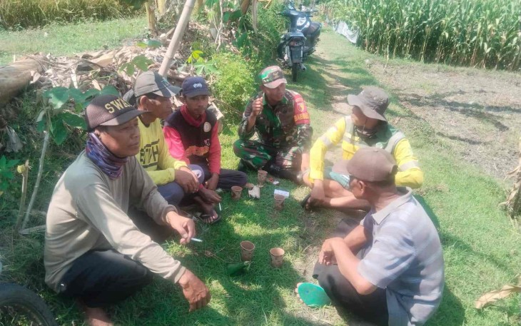 Komsos Babinsa bersama petani warga binaannya
