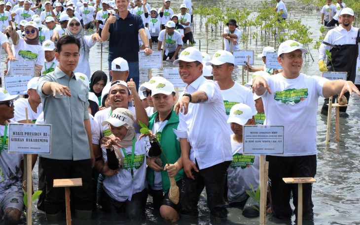 Wapres RI Gibran Rakabuming saat tanam mangrove 