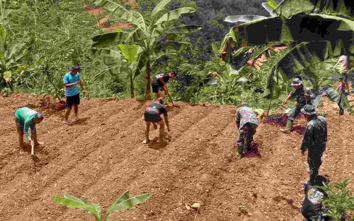 Tanam sayur mayur di lokasi TMMD ke 126 Kodim Pacitan 