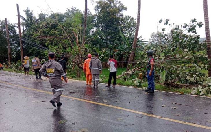 Evakuasi pohon tumbang di jalan 
