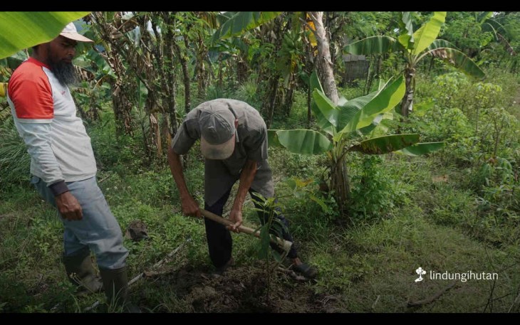 Hari Tani Nasional 2025, LindungiHutan Perkuat Peran Petani dalam Penghijauan dan Ketahanan Iklim