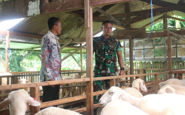 Dandim 0803/Madiun Letkol Kav Widhi Bayu Sudibyo meninjau peternakan kambing, Kamis (27/2)