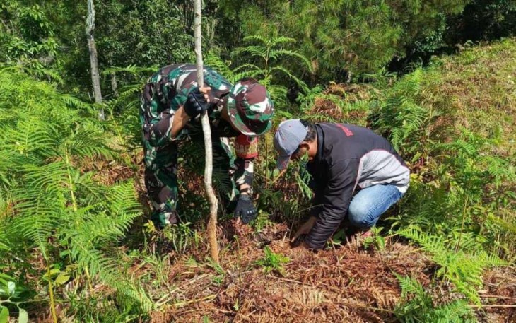 Penanaman pohon di desa Salubua Luwu