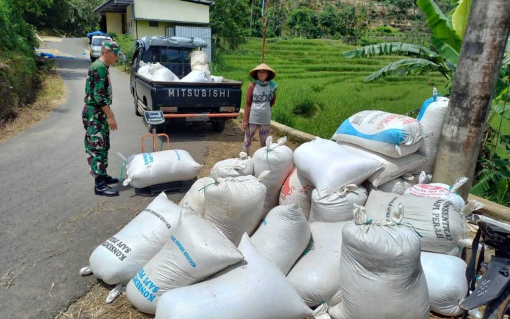 Penyerapan gabah petani desa binaan 