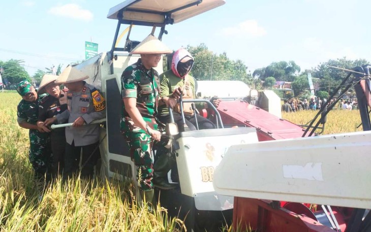 Dandim 0805/Ngawi Letkol Arh Setu Wibowo saat panen raya padi serentak, Senin (7/4)