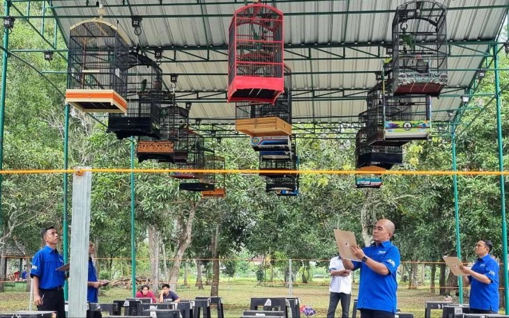 Lomba burung kicau