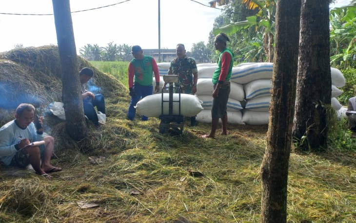 Babinsa Koramil Widodaren dan PPL Terjun Langsung ke Lapangan Pastikan Program Sergap Berjalan Lancar