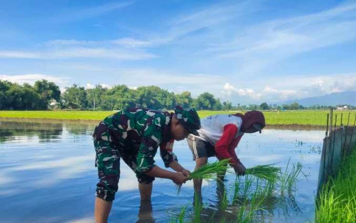 Koptu Ahmad Amir bantu petani desa binaan tanam padi