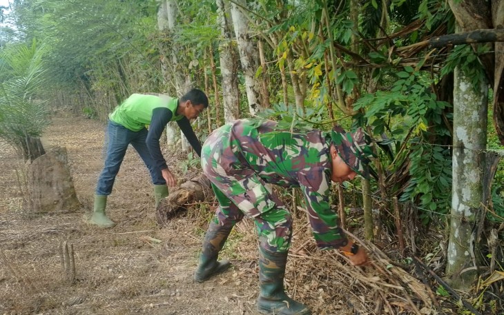 Anggota Satgas TMMD Ke-124 Kodim 040/BS  Bantu Warga Bersihkan Kebun Pinang