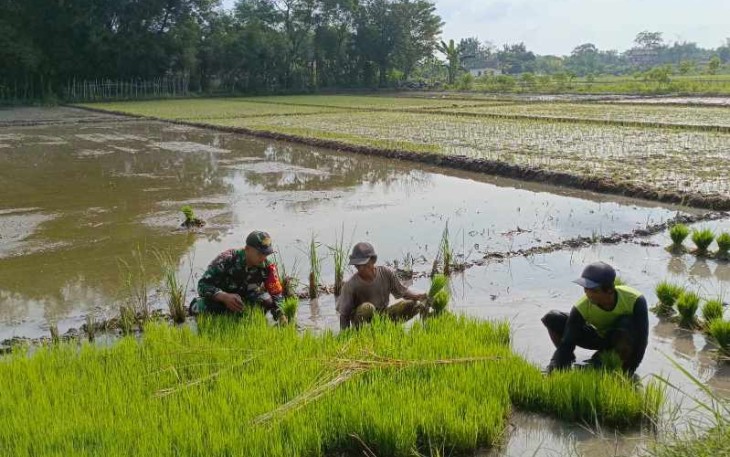Bantu petani wilayah desa binaan 