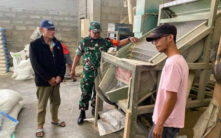 Sertu Risnoto Babinsa Balearjosari pantau pengeringan gabah petani 
