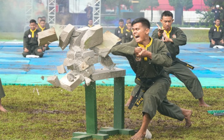 Demonstrasi pencak silat 