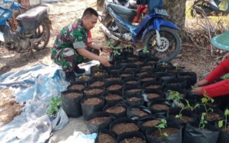Pembenihan bibit di wilayah desa binaan 