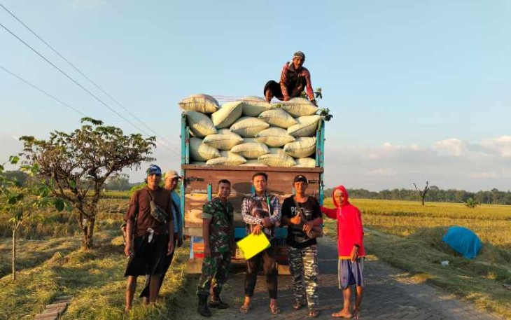 Pendampingan serapan gabah petani di wilayah desa binaan 
