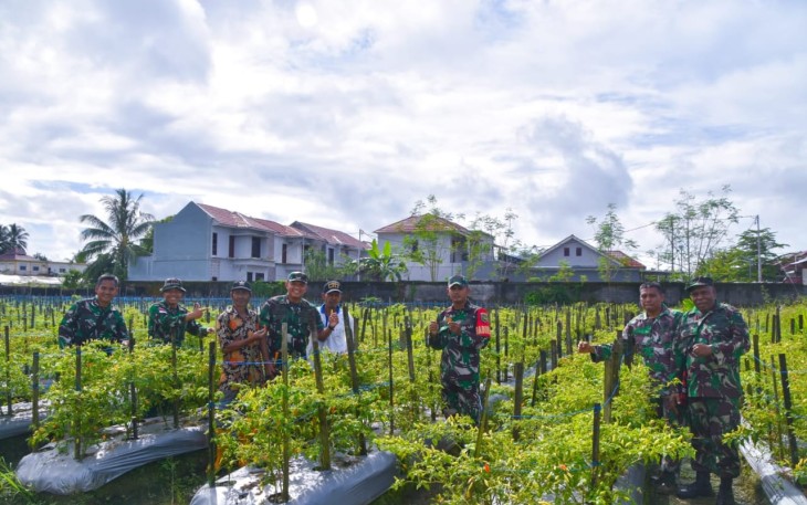 Dandim 1710/Mimika Tinjau Ketahanan Pangan Di Lahan Percontohan Petani Binaan