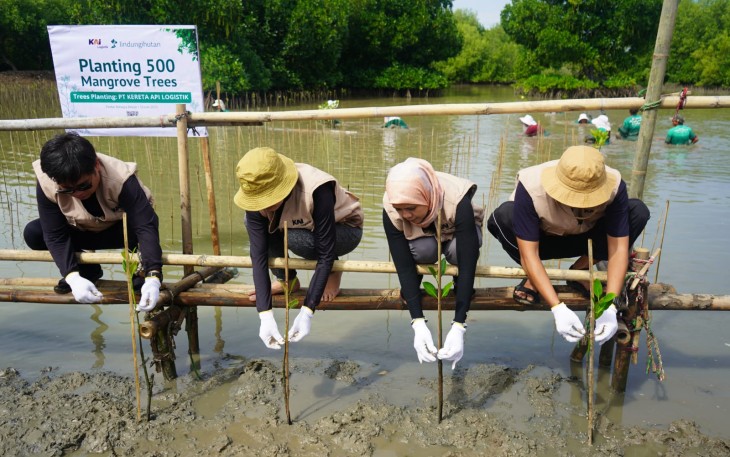 KAI Logistik Tanam 500 Mangrove