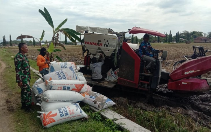 Babinsa Kodim Ponorogo Dampingi Petani Jual Hasil Panen