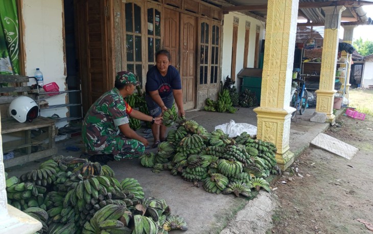 Babinsa Koramil Karangjati Beri Dukungan Dalam Pengembangan Usaha Pisang di Wilayah 