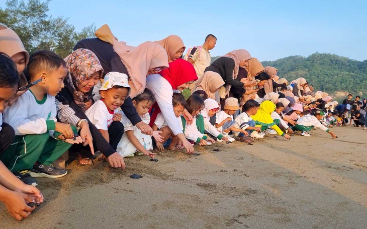 Lepas liarkan tukik di kawasan pantai Pancer Dorr, Kelurahan Ploso, Pacitan