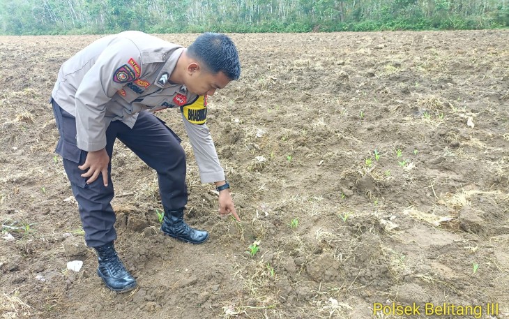 Bhabinkamtibmas Polsek Belitang III Cek Lahan Satu Desa Satu Hektar Desa Nusa Agung