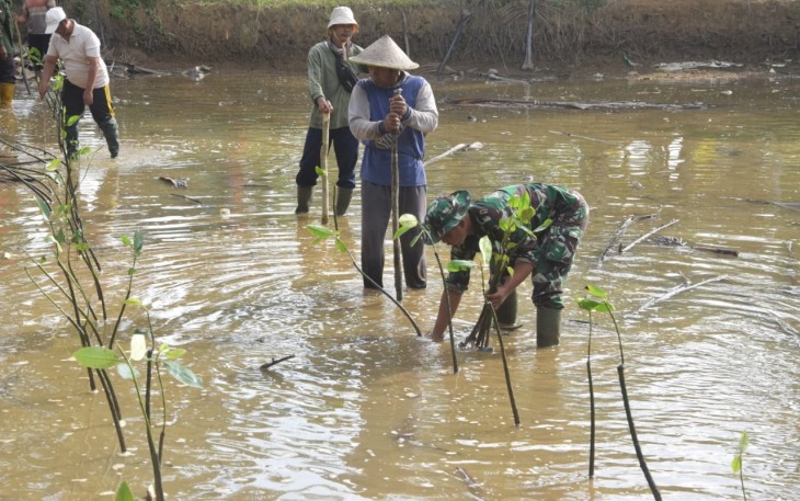 Tanam mangrove di pantai Balai Kambang Kabupaten Trenggalek 