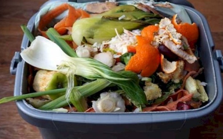 Ilustrasi foto Limbah MBG 