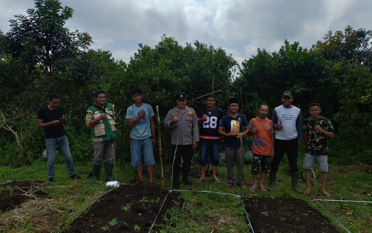BUMDES Renah Kurung Tanam Jagung Satu Hektar 