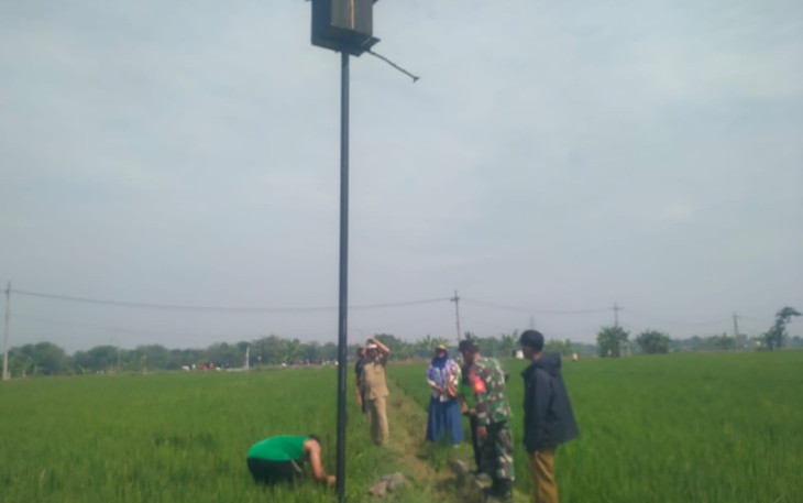 Rumah burung hantu di persawahan petani desa binaan 