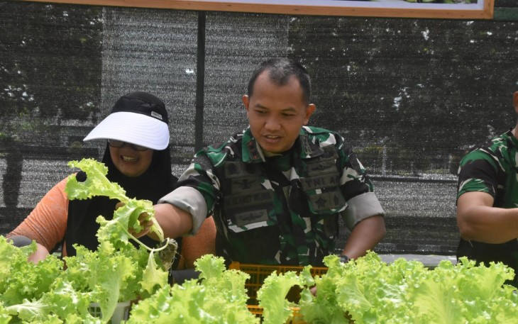 Dandim 1710/Mimika Bersama Ketua Persit KCK Cab. XXXV Melaksanakan Panen Slada Di Kebun Hidroponik Mimosa