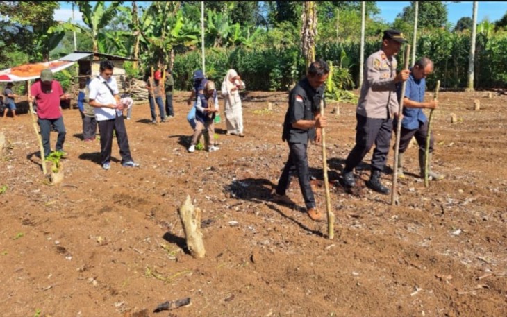 BUMDES Sehati Desa Taba Saling Laksanakan Program Ketahanan Pangan Tanam Bibit Jagung 
