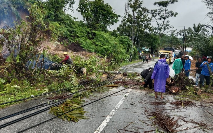 Pohon dan Tiang Listrik Tumbang Kebadan Jalan, Polri Sigap Lakukan Pengaturan Lalulintas