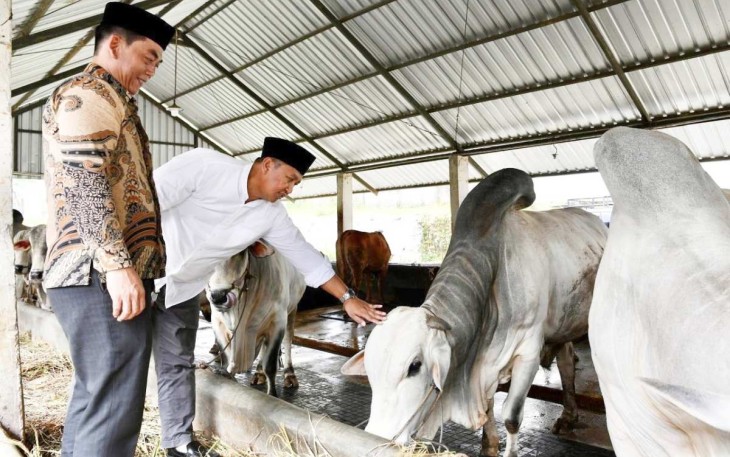 Seskemenkop Ahmad Zabadi saat meninjau peternakan sapi di Sukabumi, Jawa Barat, Sabtu (5/4)