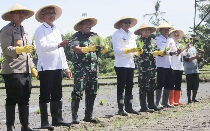 Dandim 0833/Kota Malang Letkol Arm Aris Gunawan turut serta tanam padi di lahan kelompok tani Sri Murni, Kecamatan Sukun, Kota Malang, Rabu (23/4)