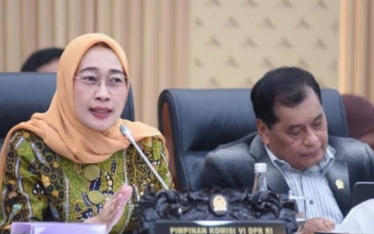 Ketua Komisi VI DPR RI Anggia Erma Rini