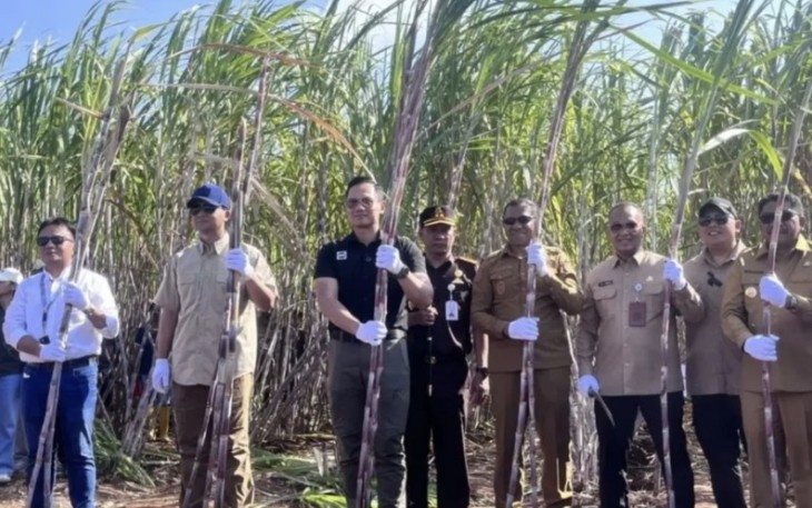 AHY bersama Mentrans Iftitah saat panen tebu