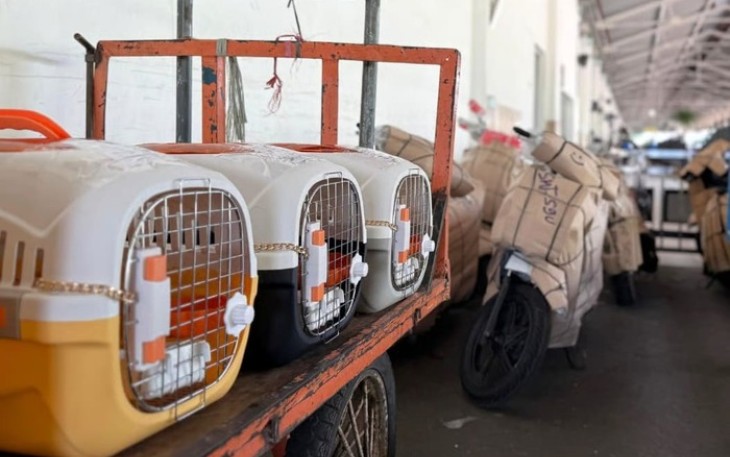 KAI Logistik Catat Pengiriman Lebih Dari 116 Ribu Hewan Peliharaan