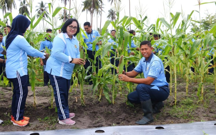 Panen jagung manis di lahan milik pertanian RSA Farm Lanud RSA, Kabupaten Natuna, Provinsi Kepulauan Riau. Selasa (22/04/2025).