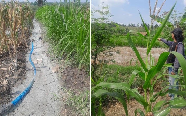 Limbah dari pengeboran sumur minyak illegal NG-8 yang dibuang di lahan pertanian berpotensi menimbulkan pencemaran lingkungan.